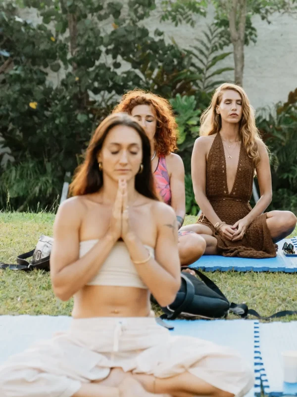 Wellness-scaled